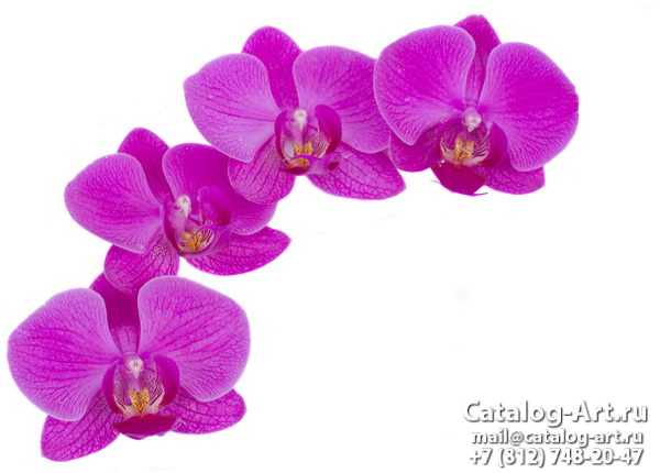 картинки для фотопечати на потолках, идеи, фото, образцы - Потолки с фотопечатью - Розовые орхидеи 83